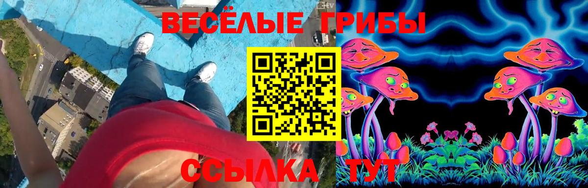 Галлюциногенные грибы Magic Shrooms Бердск
