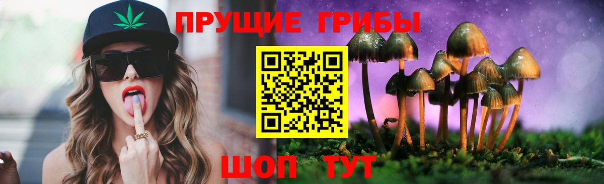 цены   Вход с VPN  Бердск  Галлюциногенные грибы GOLDEN TEACHER 